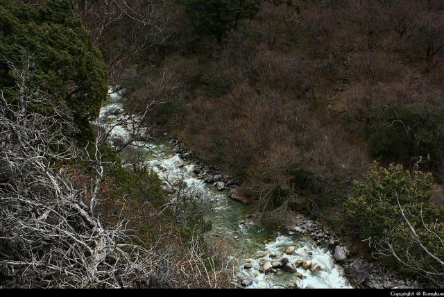 A stream